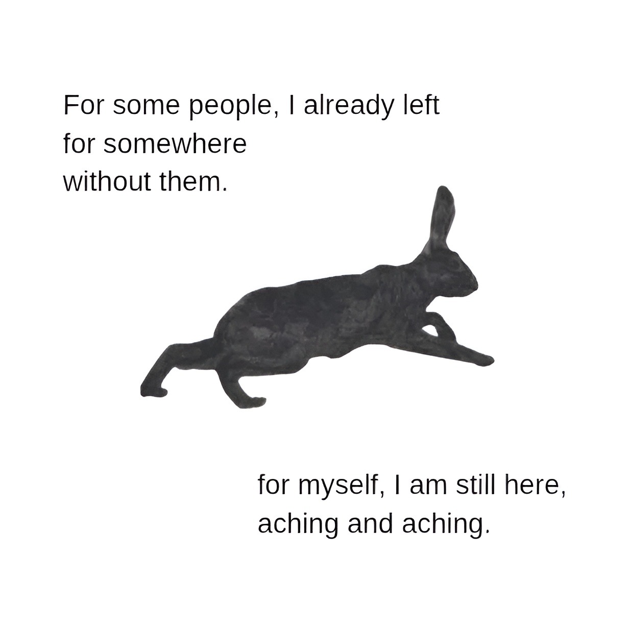 Black Rabbit Quotes 12,120 Bunny Quotes Royalty Free Images, Stock