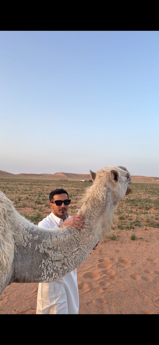 _Yz98's tweet photo. Al Jouf 🤎🐪
8.4.2025 https://t.co/Qqt2ZQ876w