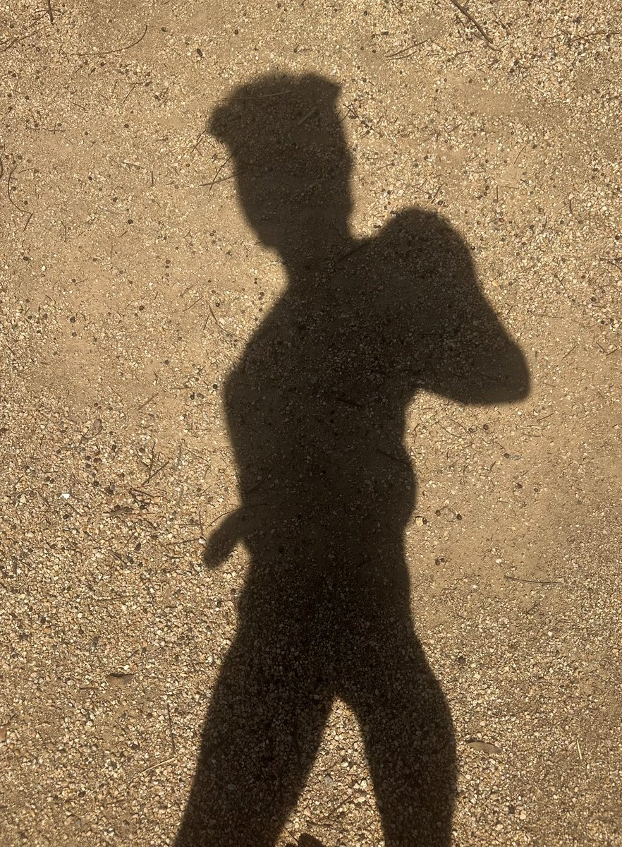 Pup Copper tweet media