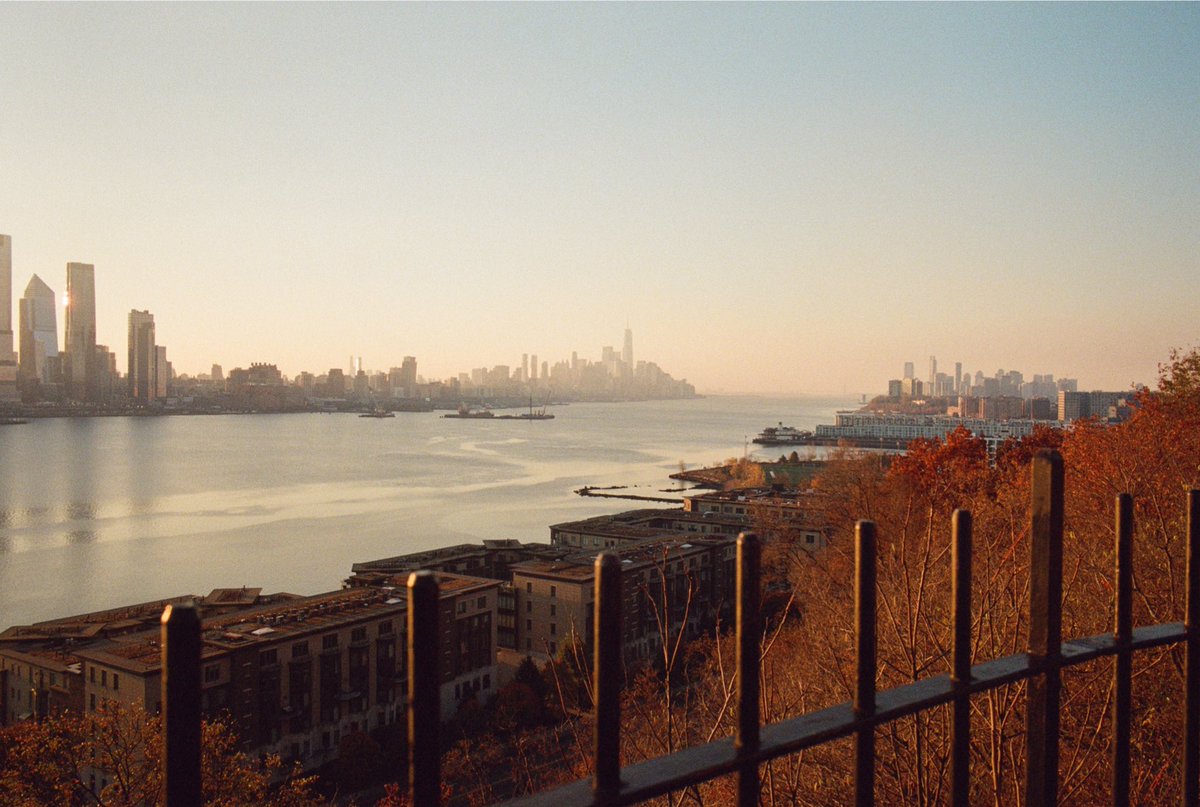 Portra Papi tweet media