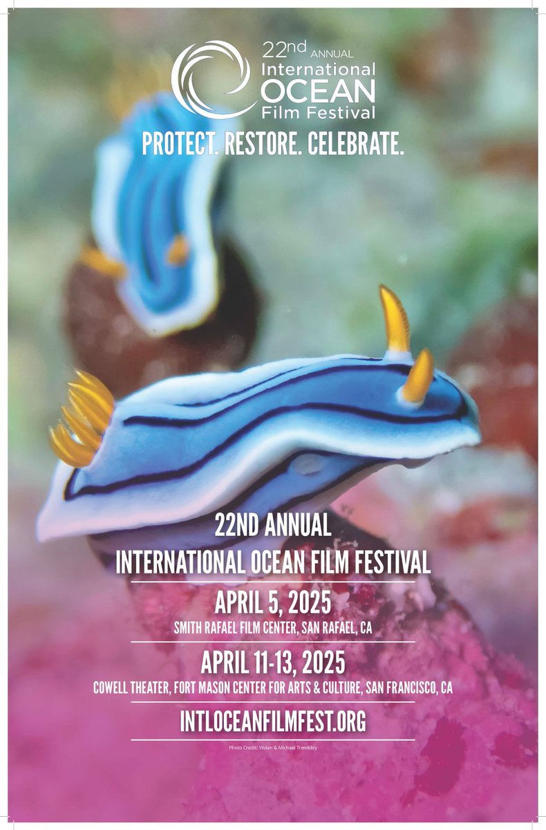 THIS WEEKEND! 🎉

The 22nd International Ocean Film Festival is almost here 🌊

Opening night kicks off on Friday in SF🍿 
Expect live music, 2 film programs, Q&amp;As with the filmmakers, craft beer samples, and so much more. 

🎟️ Tickets: bit.ly/4iYs16Y

#filmfestival