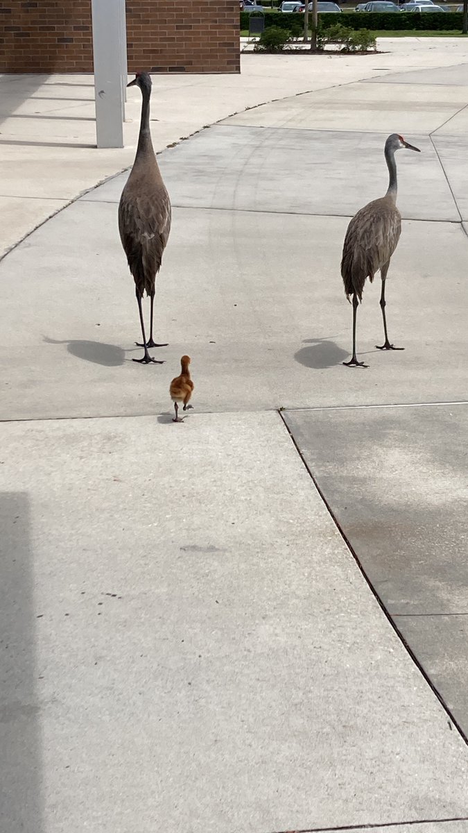 Big things happening in college