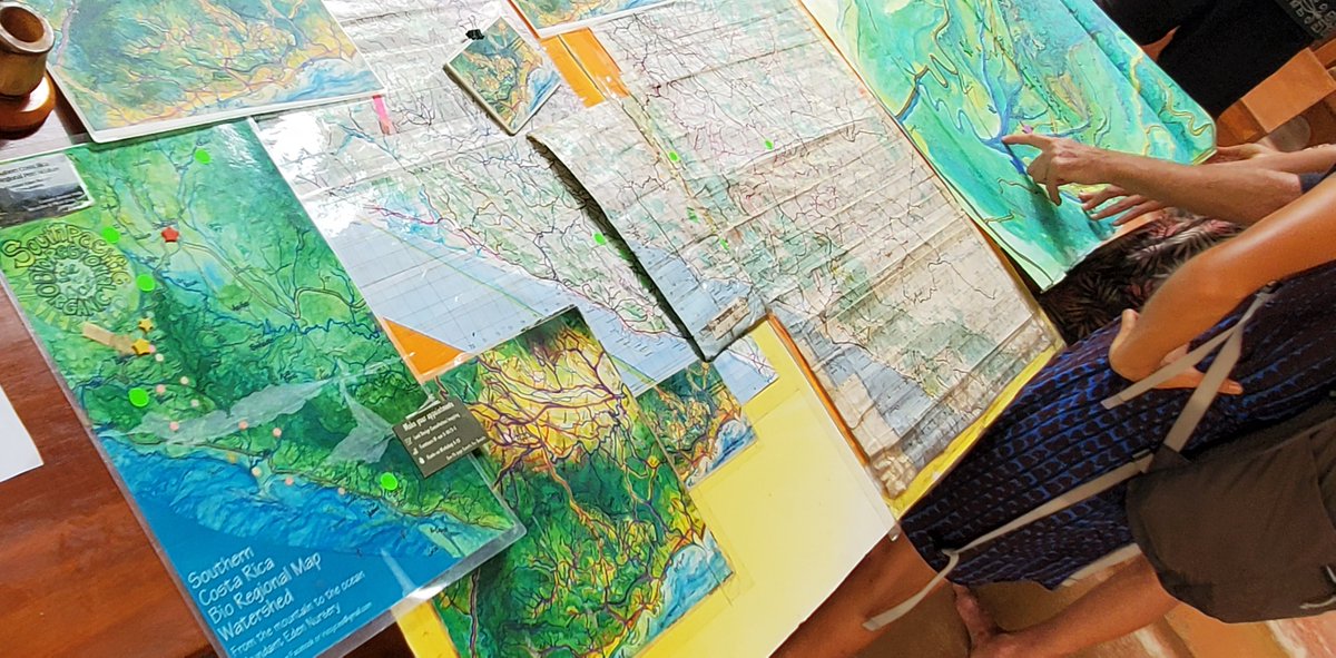 The DBC | featuring Coliazul Commons tweet media