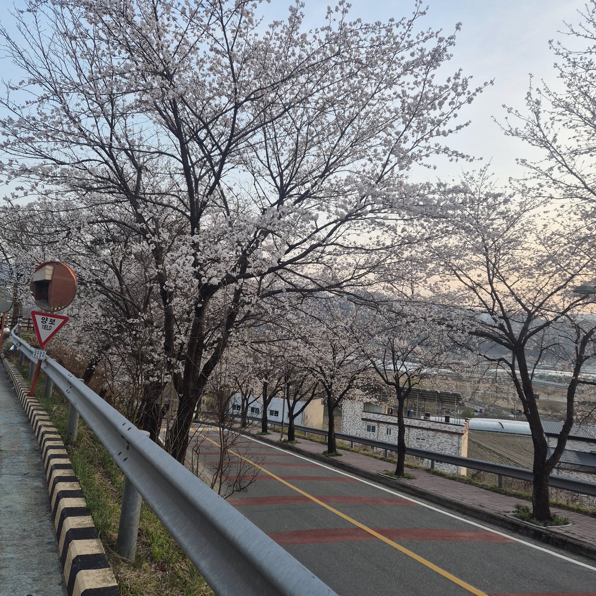 lem3412's tweet photo. 최애곡...💖 https://t.co/BKiVGhRvjh