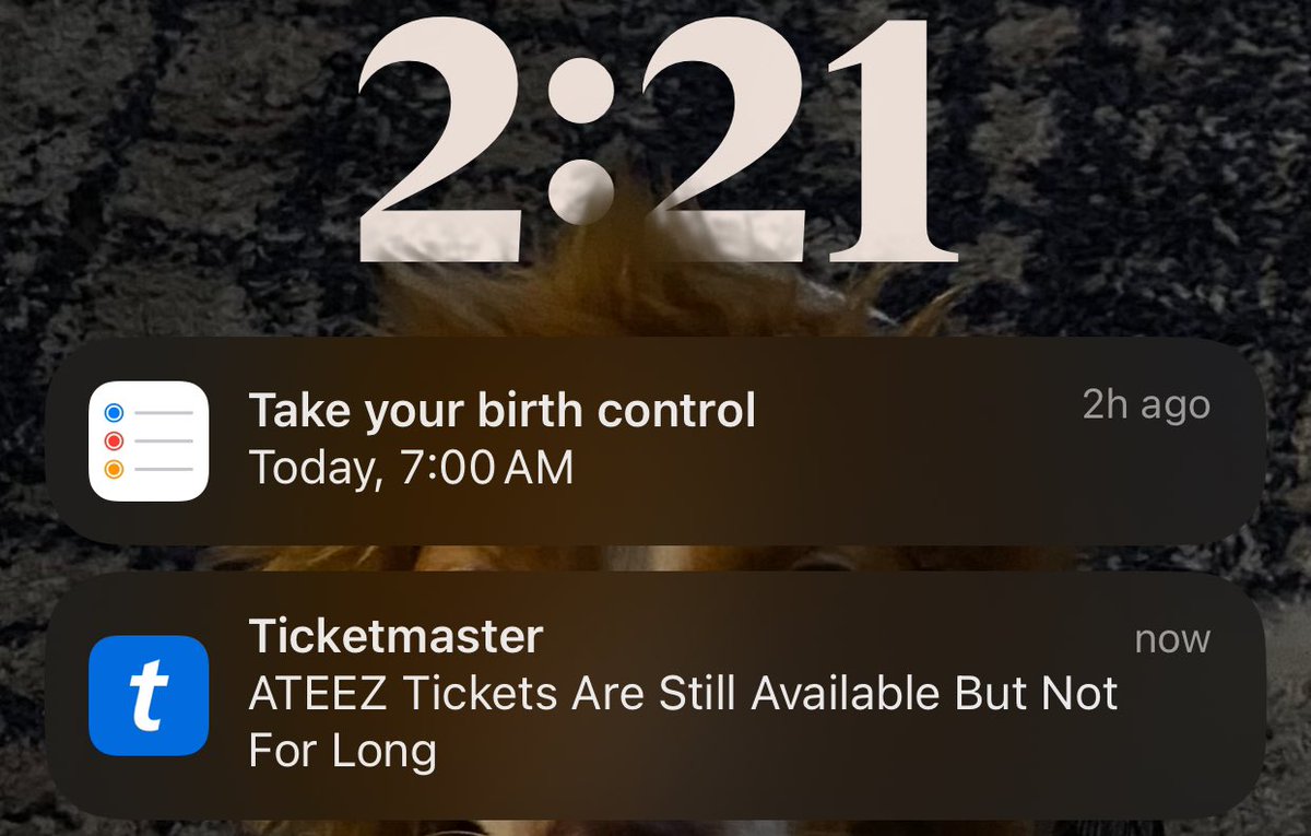 hwaasdoll's tweet image. girl fuck you.