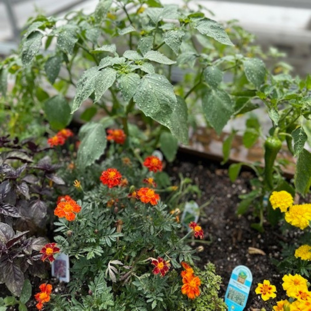 Vernier Science Education tweet media