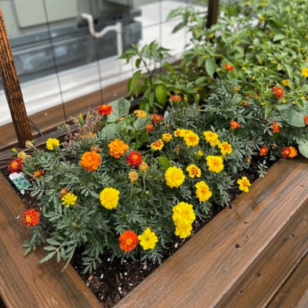 Vernier Science Education tweet media