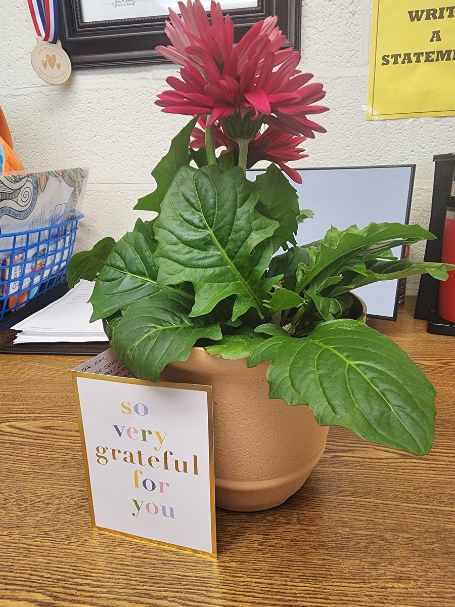 Kim Magginson (@kim_magginson) on Twitter photo It feels so amazing to be valued and appreciated by the best most amazing faculty and staff in BCPS!!! THANK YOU <a href="/RidgelyMiddle/">Ridgely MS</a> It feels so amazing to be valued and appreciated by the best most amazing faculty and staff in BCPS!!! THANK YOU <a href="/RidgelyMiddle/">Ridgely MS</a>