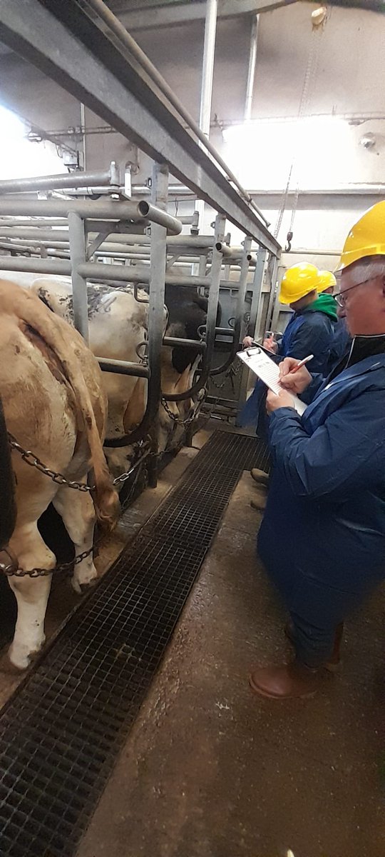 InterbevGdEst's tweet photo. [#QuestiondePro]
Nouvelle journée de sensibilisation à l'estimation des animaux et au classement en carcasse pour des Éleveurs et Techniciens @Cloe avec #Normabev et @InterbevGdEst
#accordsinterpro #far #donneesabattage #communication 
@regiongrandest https://t.co/xZF2P8qzsw