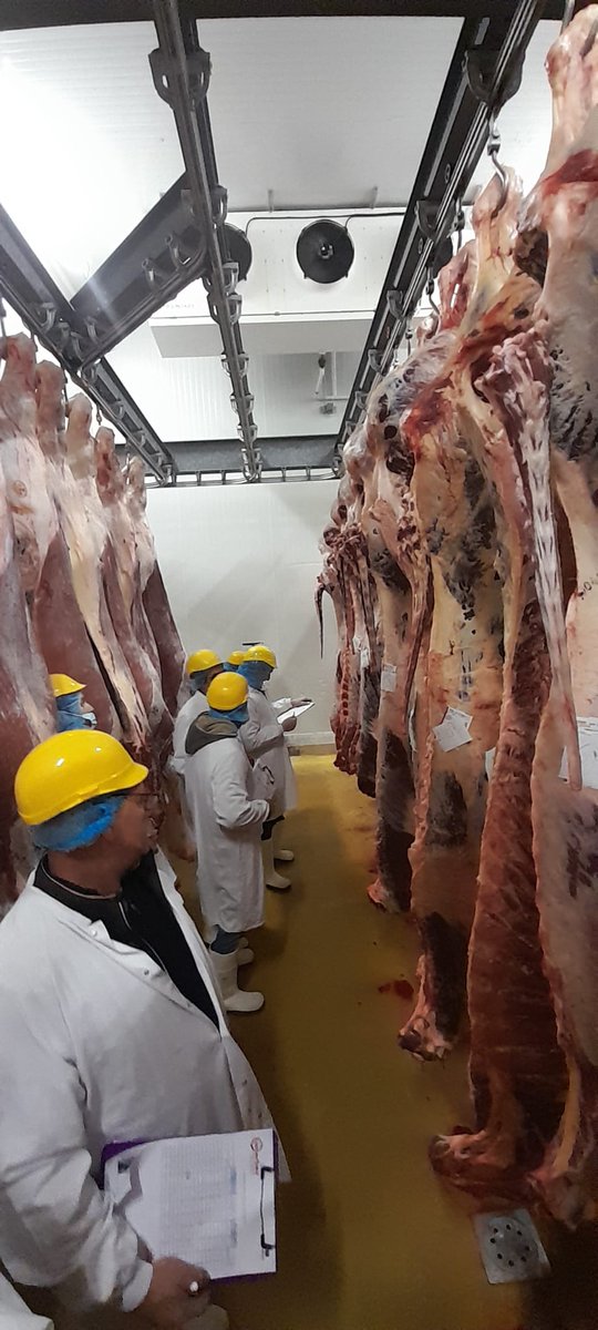 [#QuestiondePro]
Nouvelle journée de sensibilisation à l'estimation des animaux et au classement en carcasse pour des Éleveurs et Techniciens @Cloe avec #Normabev et <a href="/InterbevGdEst/">Interbev Grand Est</a>
#accordsinterpro #far #donneesabattage #communication 
<a href="/regiongrandest/">Région Grand Est</a>
