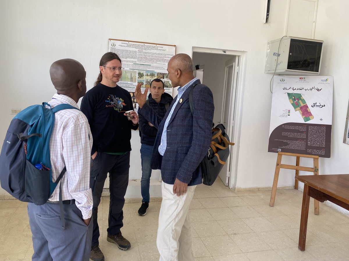 HajerBENGHANEM's tweet photo. Exciting visit to Mornag Station's #INRAT barley trial! Revealing the Diversity of Barley Quality Traits through Synergies between On-Farm Practices and Technological Innovations project is making great strides #Diversity #IrregularSpike #Ethiopia #BSF @ICARDA @FAO #ITPGRFA https://t.co/Py3hMQw9Ik