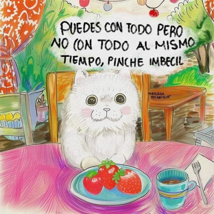 absurdamela's tweet photo. https://t.co/3RQZVcZPnV