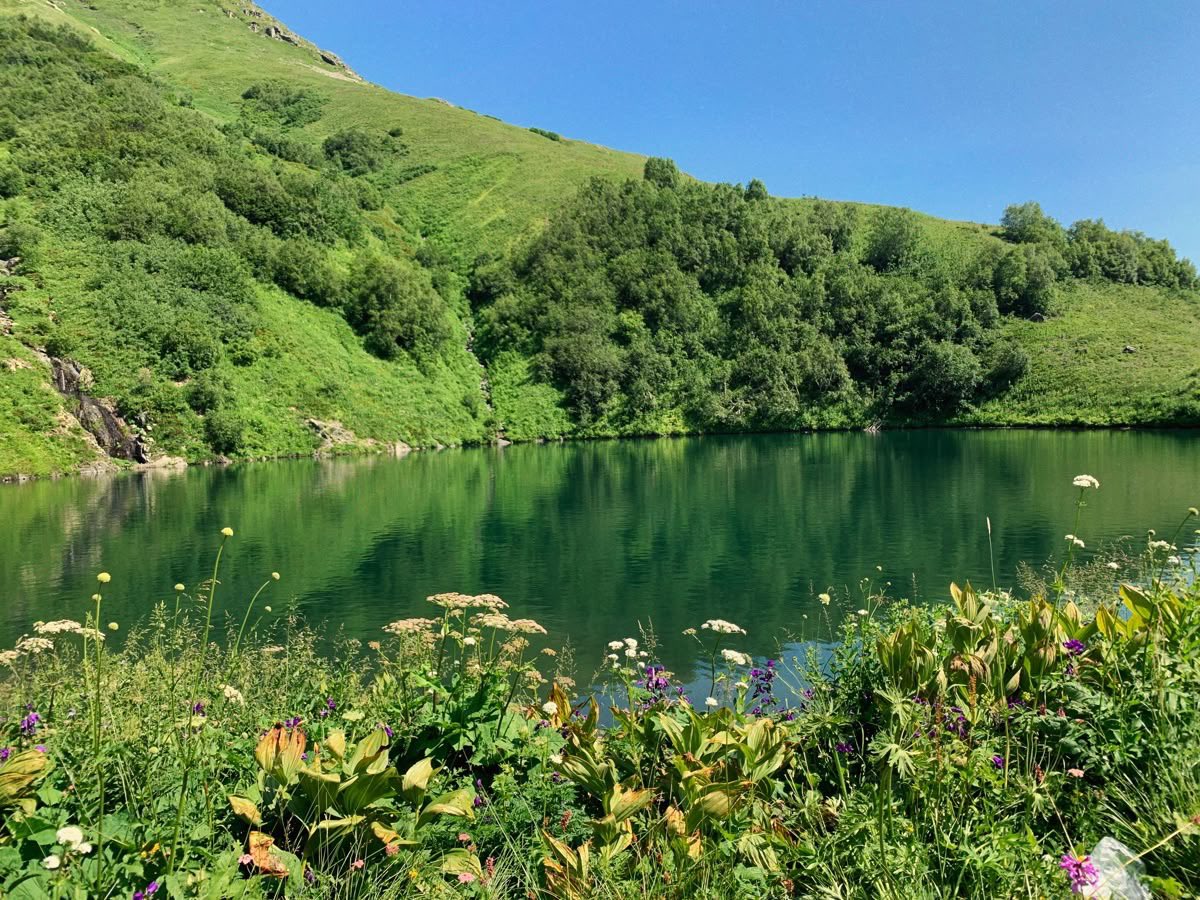 𝕵𝖆𝖓𝖊 tweet media