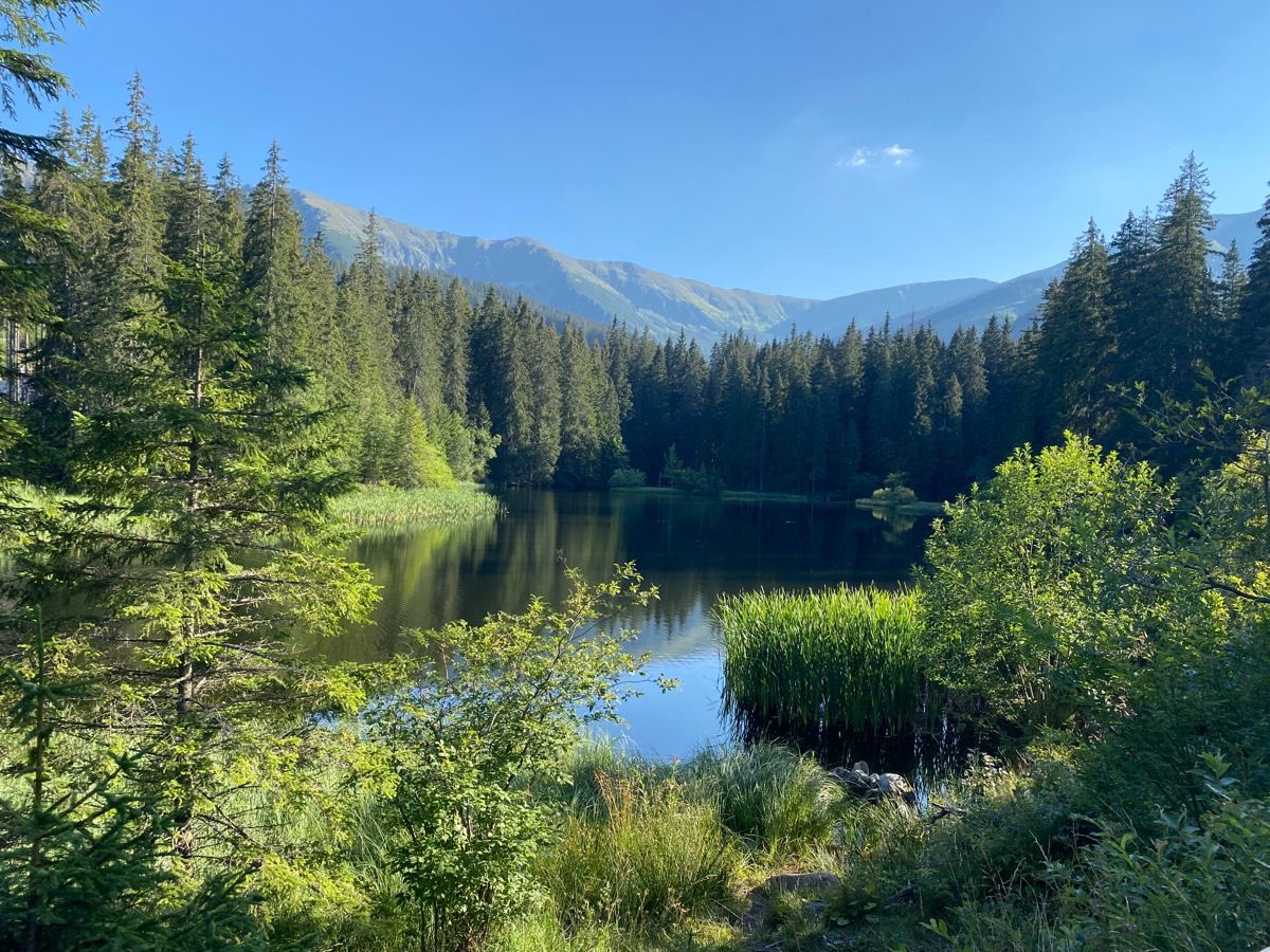 𝕵𝖆𝖓𝖊 tweet media