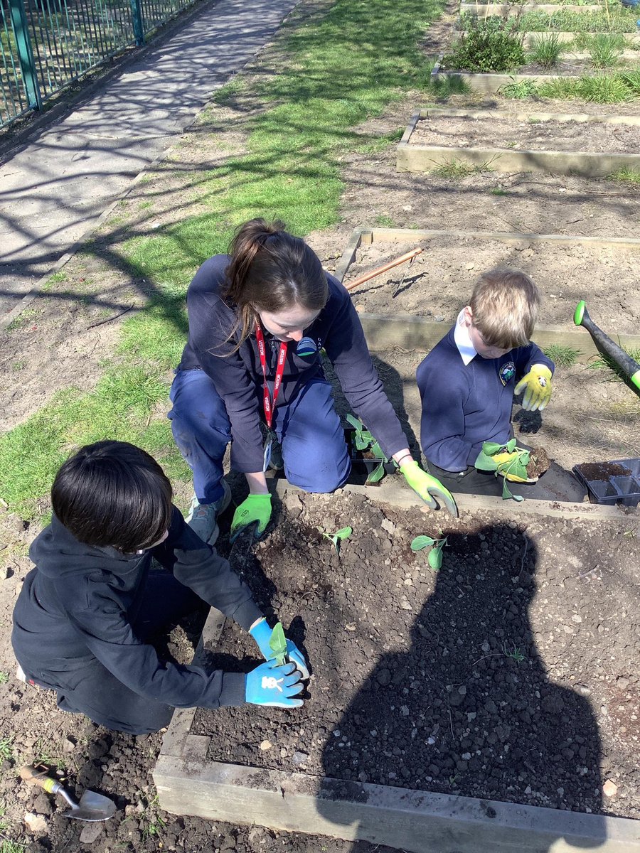 Today, we’ve had Tori visit us from OASES to run a family planting session.
We’ve planted lots of fruits, vegetables and flowers!
We can’t wait to welcome her back to Gillas Lane in the summer for a family harvesting session!

#GoodToBeGillas #TeamGillas #HOPToIt