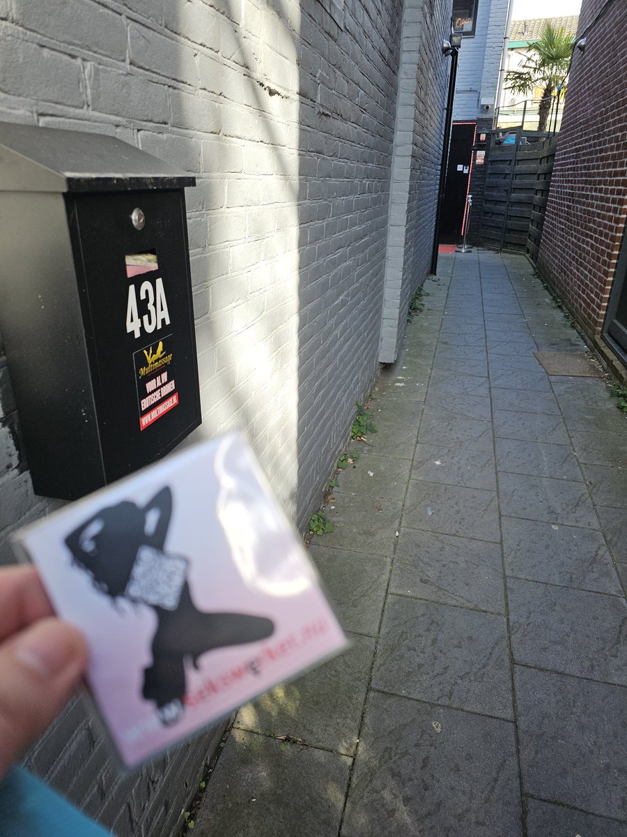 Sekswerker.nu 📌 🇳🇱🇧🇪🇩🇪 tweet media