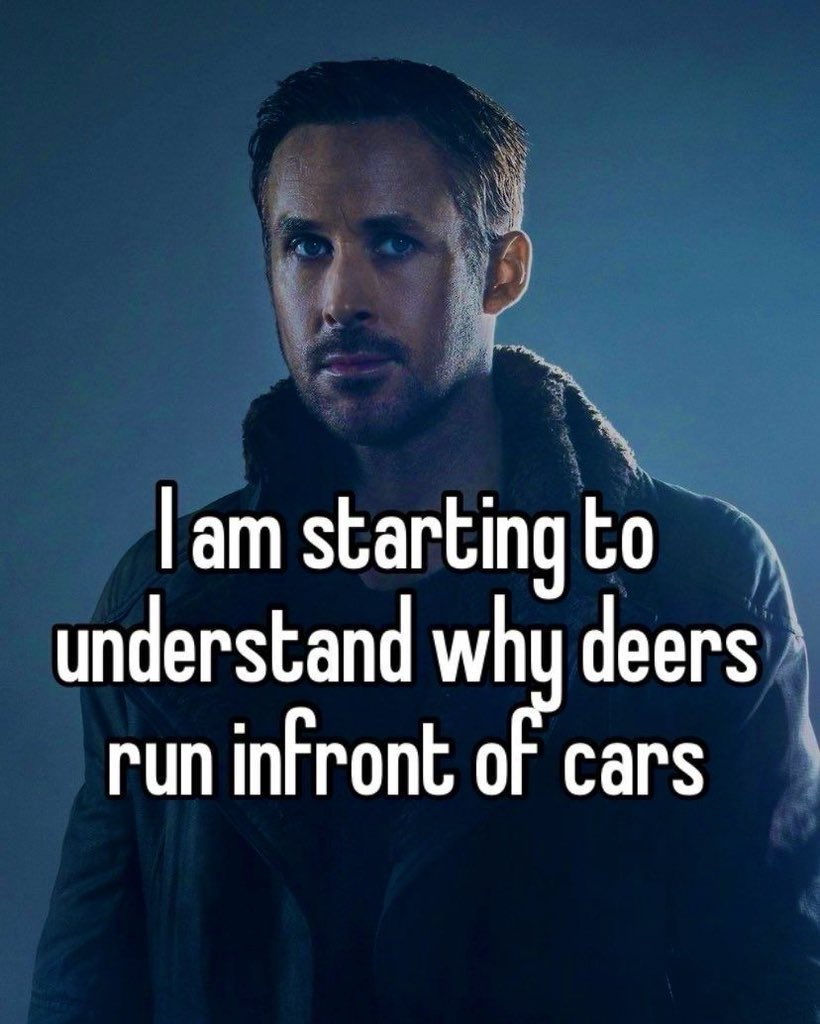 autist (@litteralyme0_) on Twitter photo 