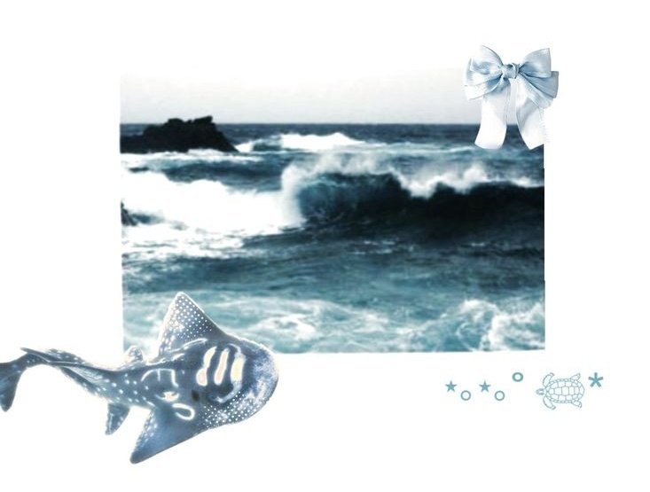 ً🐋 tweet media