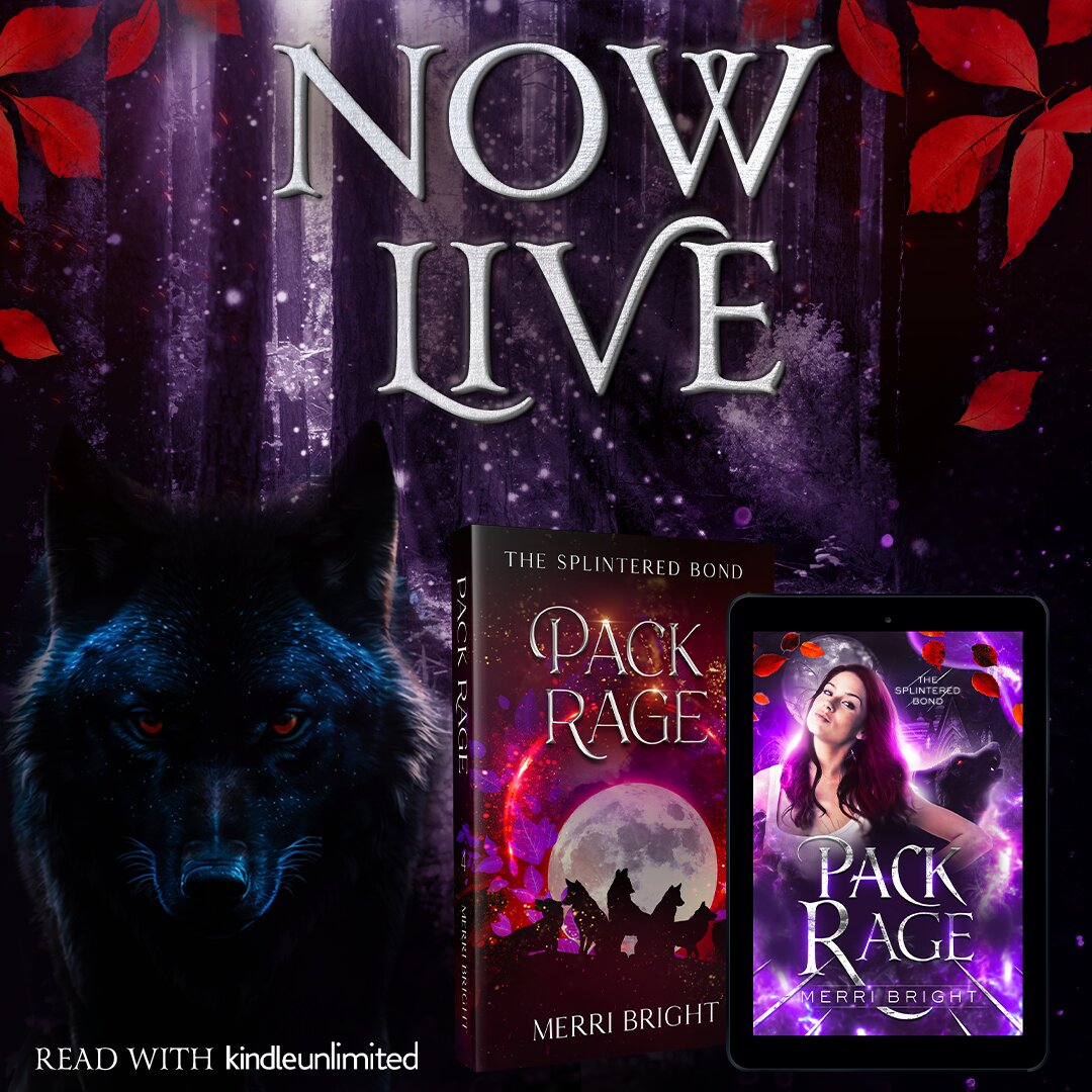 Reading by Deb tweet media