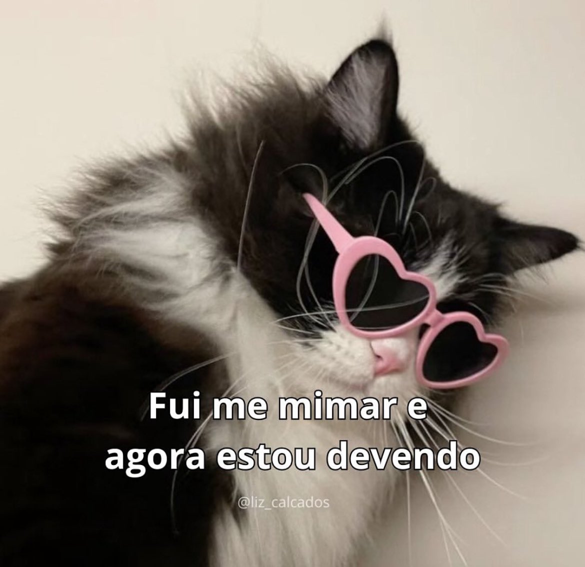 vittor's tweet photo. https://t.co/HfCCQ31vOg