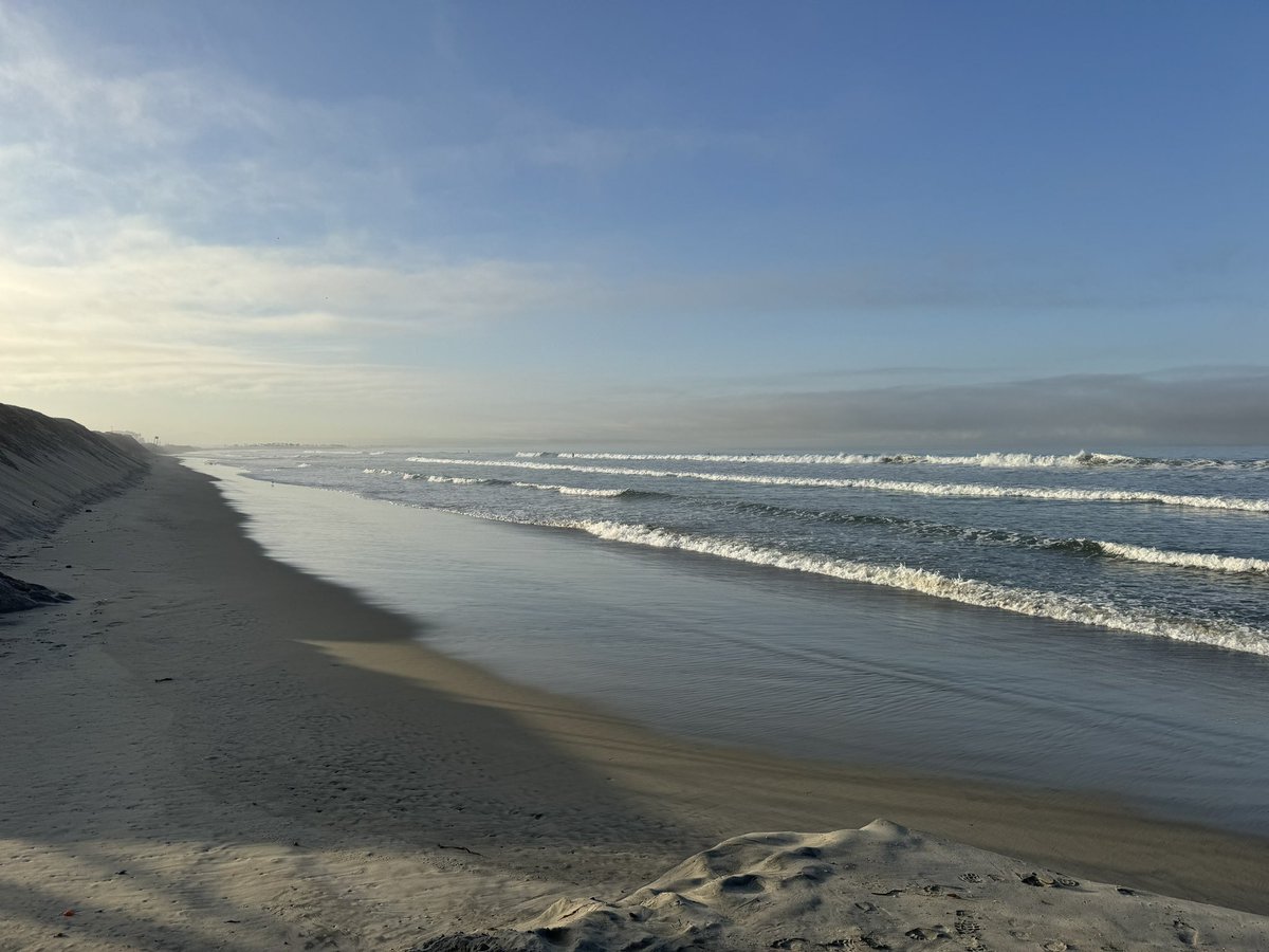 Join me for the BRAIN 🧠 ON THE BEACH 🏝️ HeadTalk today at 2PM at #AANAM - surprise swag and giveaways!!!