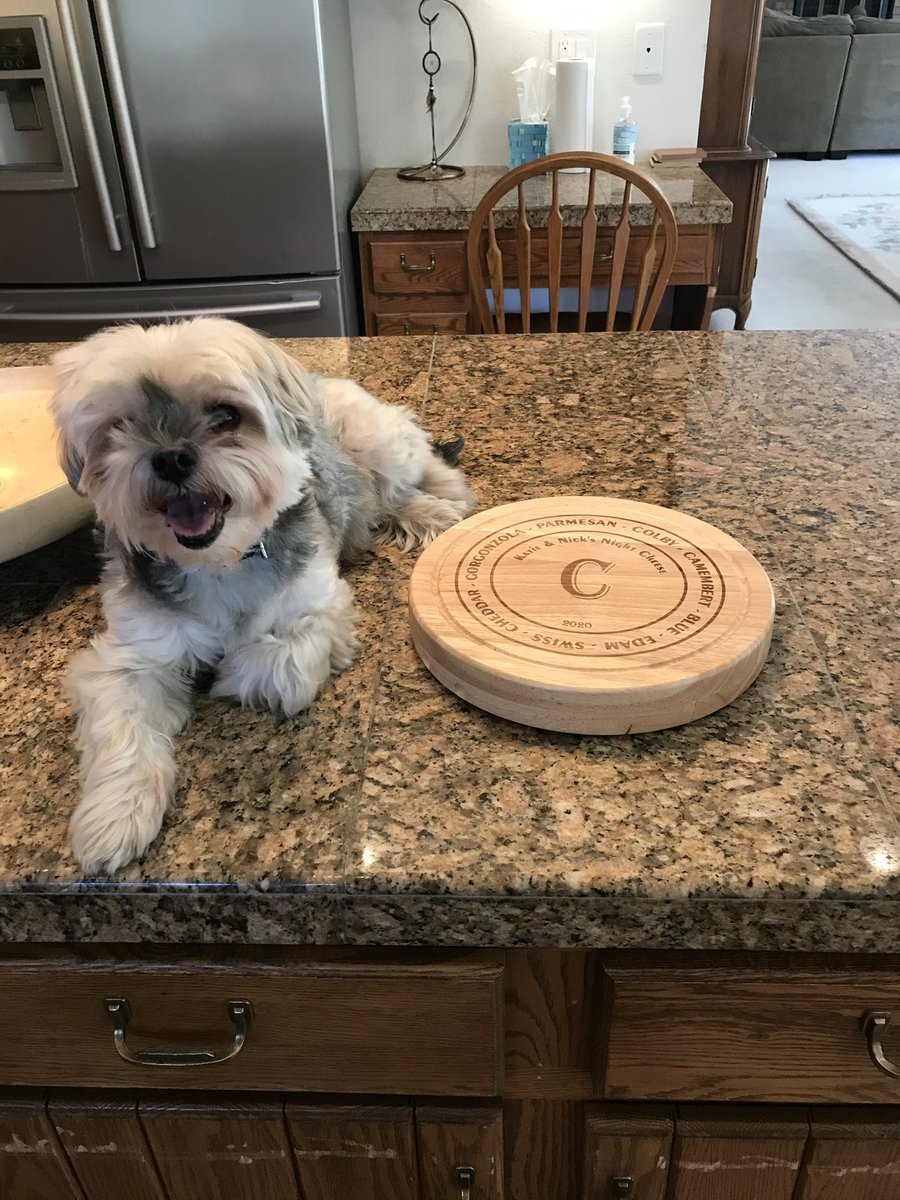 bigdadcalves's tweet photo. we lost our wookie yesterday. she was the only dog i’ve ever raised from birth and i am so grateful to have spent all 16 1/2 years of her life by her side. https://t.co/2AallpkzIR