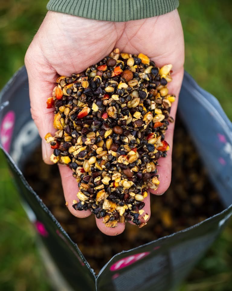 MainlineBaits's tweet photo. ANISEED MIX.✅

This awesome particle mix containing Hemp, Tares, Wheat and Buckwheat, plus chopped Tigers, Maize and essential mix of small seeds and chopped particles has been enhanced with the classic particle mix attractor of Aniseed. 👍 https://t.co/gE2fXgrs5k