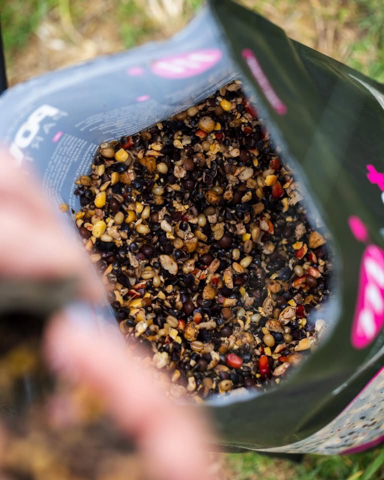 MainlineBaits's tweet photo. ANISEED MIX.✅

This awesome particle mix containing Hemp, Tares, Wheat and Buckwheat, plus chopped Tigers, Maize and essential mix of small seeds and chopped particles has been enhanced with the classic particle mix attractor of Aniseed. 👍 https://t.co/gE2fXgrs5k
