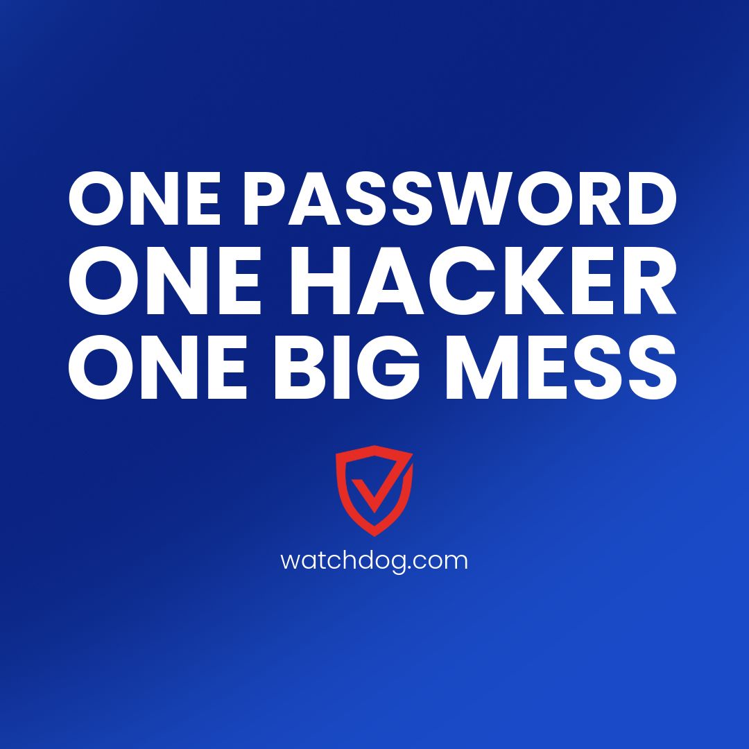 Watchdog tweet media