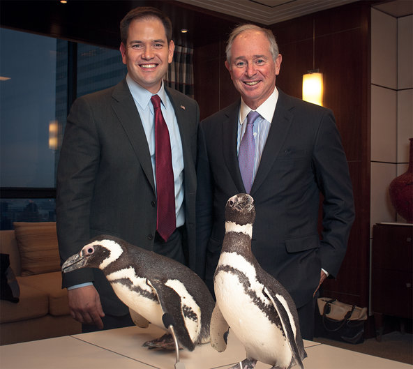 <a href="/HighyieldHarry/">High Yield Harry</a>