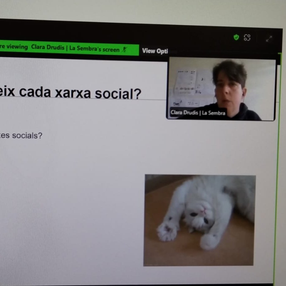 claradrudisrius's tweet photo. Explicar com dur les xarxes socials d'un projecte cultural, posar un gif d'un gatet fent monades a la presentació i que tot tingui sentit.

És una personalitat i és la meva. https://t.co/38atN1jHRY