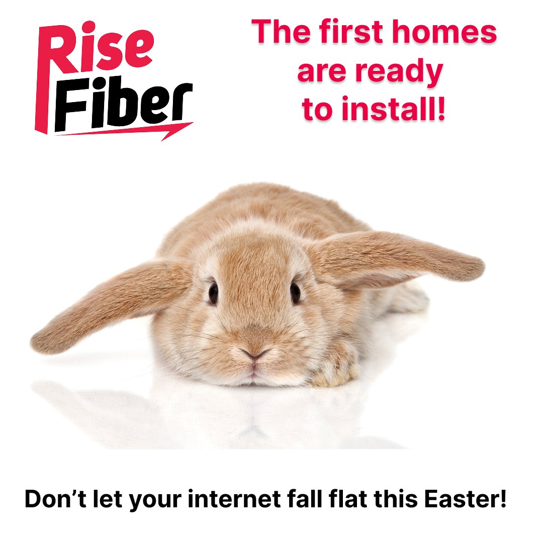 @RiseInternet tweet media