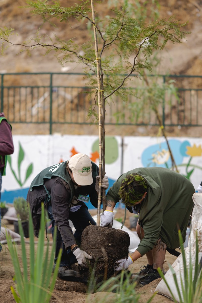 FIbanezAtkinson's tweet photo. Enfrentar el cambio climático en la ciudad es urgente. Por eso estamos felices de haber apoyado la creación de un refugio climático en Cerrillos, junto a todos los que forman parte de Barrios por el Clima, los vecinos de la Unidad Vecinal 33 y la Municipalidad de Cerrillos🌳🤝 https://t.co/8C4uEXHsk5