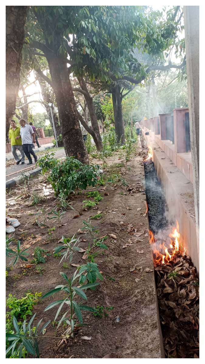 Thakurrsjamwal2's tweet image. Jammu Smart City's failure to stop leaf burning in public spaces like the Ranbir Canal #walkway is a betrayal of citizens &amp;amp; nature. Assurances like 'Positivity will win over negativity' ring hollow as visuals of burning waste persist, showing a lack of will to change . 
Cont..