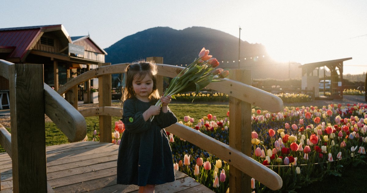 Welcome to the Sweet Spring Festival at Greendale Acres Farm! 🌷 100,000 hand-planted tulips arranged in Dutch-inspired designs— it's truly a spectacular sight to behold!

Follow your sense of discovery to Chilliwack, where the fest will be on until May 11.