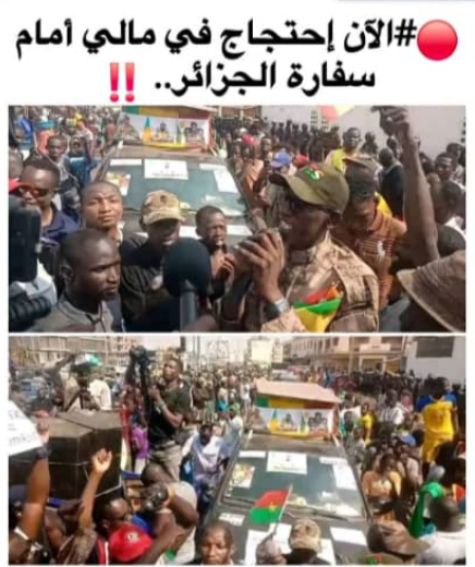 BritUKSkip's tweet photo. @alakli Tu as des commentaire Ali Boukhlef ? https://t.co/RG4Fo1NfNU