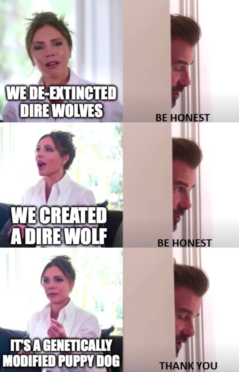 Da igual cuánto lo repitan desde cuentas millonfologüers con marca azul 🤦‍♂️🤦‍♂️

NO han "revivido", NO han "desextinguido" al lobo gigante - huargo - dire wolf - / Aenocyon dirus /

NO, ni de lejos.

Desconozco quién ha preparado la imagen pero es muy acertada 😉⬇️