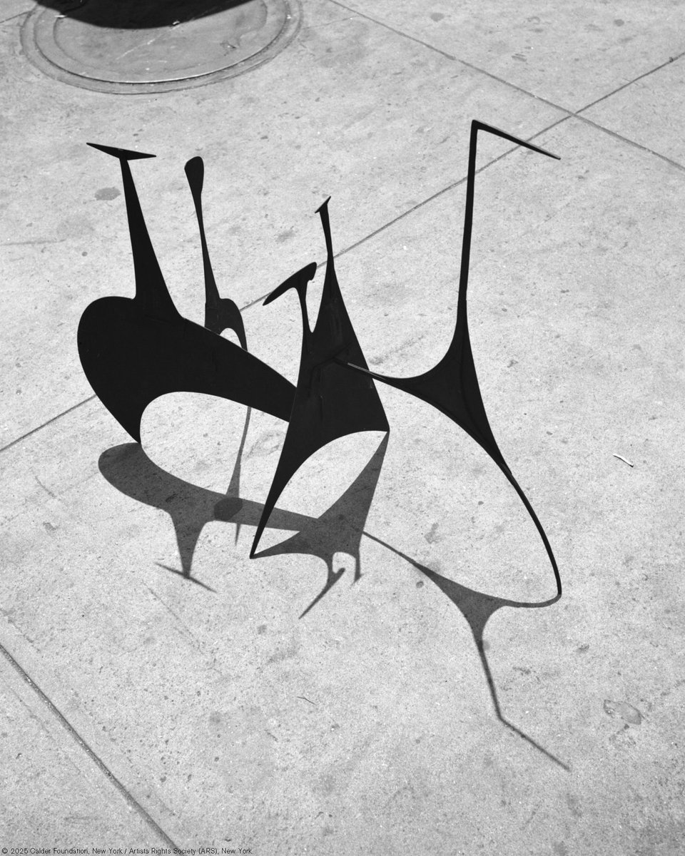 We are pleased to share the Calder Foundation’s new visual identity. Calder’s art and ethos are at the center of everything we do at the Foundation—and now his signature will grace all our projects. Read more: tinyurl.com/yu44ses3