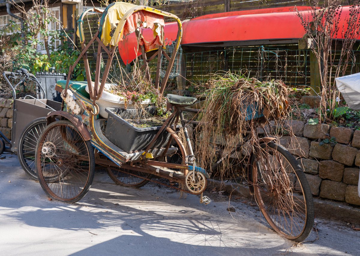 DorteHedengran's tweet photo. How about a brand new bike and then it's organic 🥬

#Denmark #SonyAlpha #streetphotography #April8th #photooftheday #TuesdayVibes #TuesdayMood #Tuesday #bike 

📸Dorte Hedengran https://t.co/ReCo88McoS