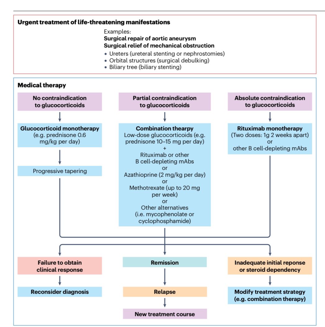 dr_immuno29's tweet photo. 🚨 Deep Dive into IgG4-Related Disease (IgG4-RD) from Nature Reviews Rheumatology!

•🌟 What is IgG4-RD? A sneaky fibro-inflammatory disorder hitting multiple organs with slow-growing, pseudo-tumoural lesions—think hidden troublemakers!
•⚠️ Diagnosis Challenge: No gold-standard criteria! Needs a detective-like approach—blend clinical signs, radiology, and serology to ditch mimics like histiocytoses, vasculitis, and lymphoproliferative disorders.
•🎯 Subphenotypes: Spot the variety—Mikulicz (swollen glands), head-neck limited, pancreato-hepato-biliary (jaundice alert!), retroperitoneal/aortic—each with unique patient profiles, symptoms, and IgG4 levels!
•💊 Treatment: Glucocorticoids lead the charge, but B cell-depleting champs (rituximab, inebilizumab) and cytokine-targeting drugs are stealing the spotlight—most still in hot clinical trials!
•🔄 Chronic Nature: A relapsing rogue—demands vigilant, long-term follow-up to keep it in check!
•📊 Fun Fact: Hits men harder (2:1-3:1 ratio) with a vascular vibe—50% cases show large/medium artery involvement, even small vessels!
•🕵️ History Bite: Born in 2001 with autoimmune pancreatitis link—evolved into a systemic puzzle by 2003, tying sclerosing pancreatitis, Riedel thyroiditis, and more!
•🩺 Symptoms Spotlight: Jaundice, proptosis, abdominal pain, or cranial neuropathies—depends on the organ hit, making it a diagnostic rollercoaster!
•🔬 Histology Clue: Fibrosis + chronic inflammation = IgG4-RD signature—seen on FDG-PET-CT for activity tracking!
•🌐 Research Edge: Ongoing trials push boundaries with monoclonal antibodies—stay tuned for breakthroughs!
#IgG4RD #Rheumatology #AutoimmuneDisease #MedicalResearch #HealthInnovation #RareDisease #ClinicalTrials
 https://t.co/bgqYTrDeZn
