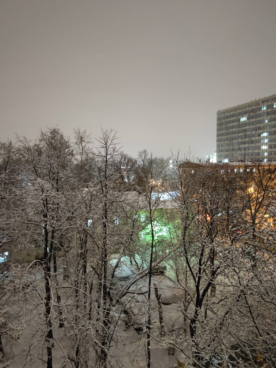 ディッザ tweet media