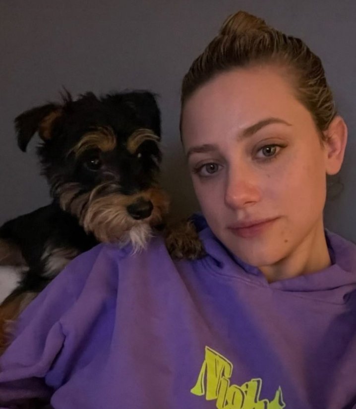 Jullet Rose (@jr7735608) on Twitter photo 