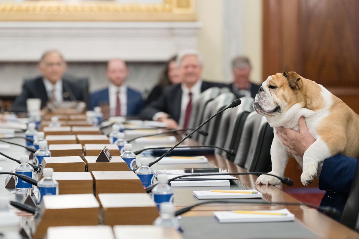 🎤 Is this thing on?