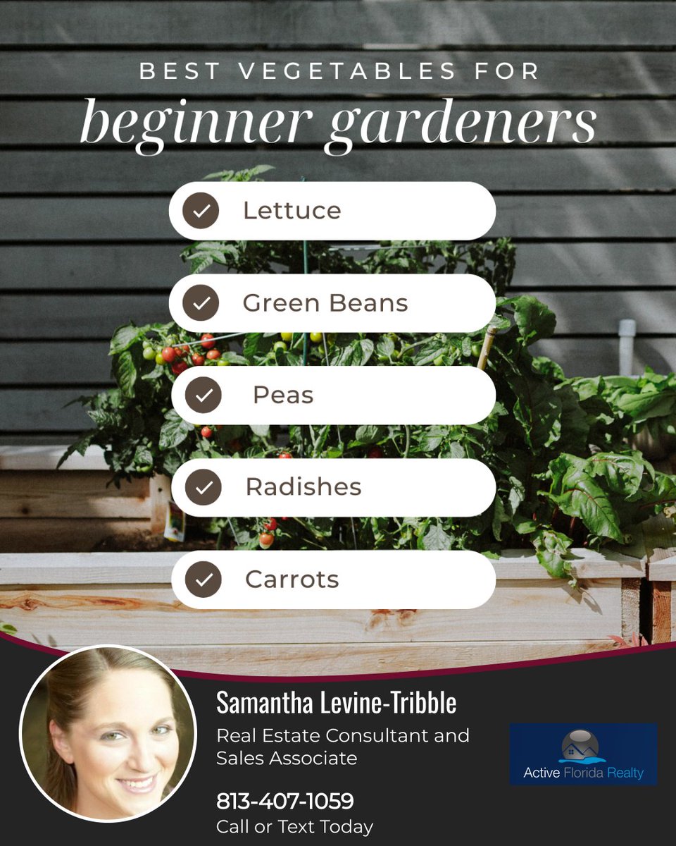 TampaLivingSam's tweet photo. New to gardening? 🌱 Start with easy-to-grow veggies that take the guesswork out of planting!

Not only will you gain confidence as you nurture your garden, but you’ll also enjoy fresh, homegrown produce in no time. 🥕🥒🍅

#tamparealestate #tamparealtor #tampabayrays https://t.co/Dieu9qVeN7