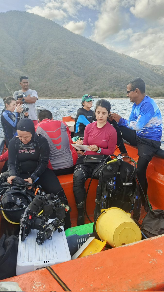 GECarrasquel's tweet photo. En nuestro compromiso con la ciencia continuamos apoyando al equipo de investigación del Proyecto CorAlien UCV-IVIC en salidas de campo para tomar parámetros y recolectar muestras de #UnomiaStolonifera en #ValleSeco, costas de #Choroní #Venezuela https://t.co/R6h4LUPN4C