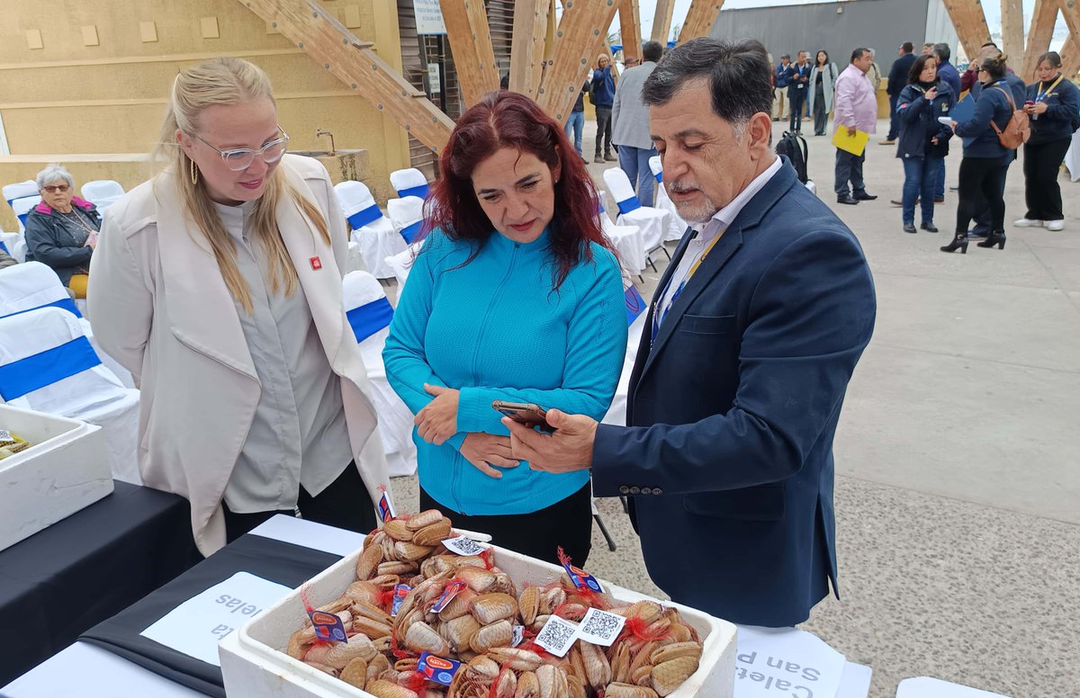 Hoy se lanzó el programa "La Mejor Macha" en Coquimbo, iniciativa que buscar fortalecer la cadena de valor de este recurso emblemático . A través de un sistema de trazabilidad con código QR, los consumidores podrán conocer el origen legal del producto, garantizando su calidad y