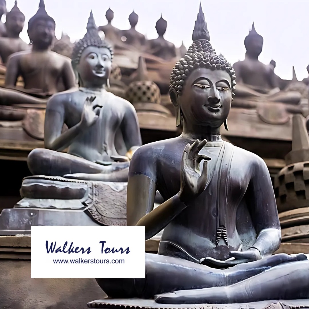 Emerging Destinations tweet media