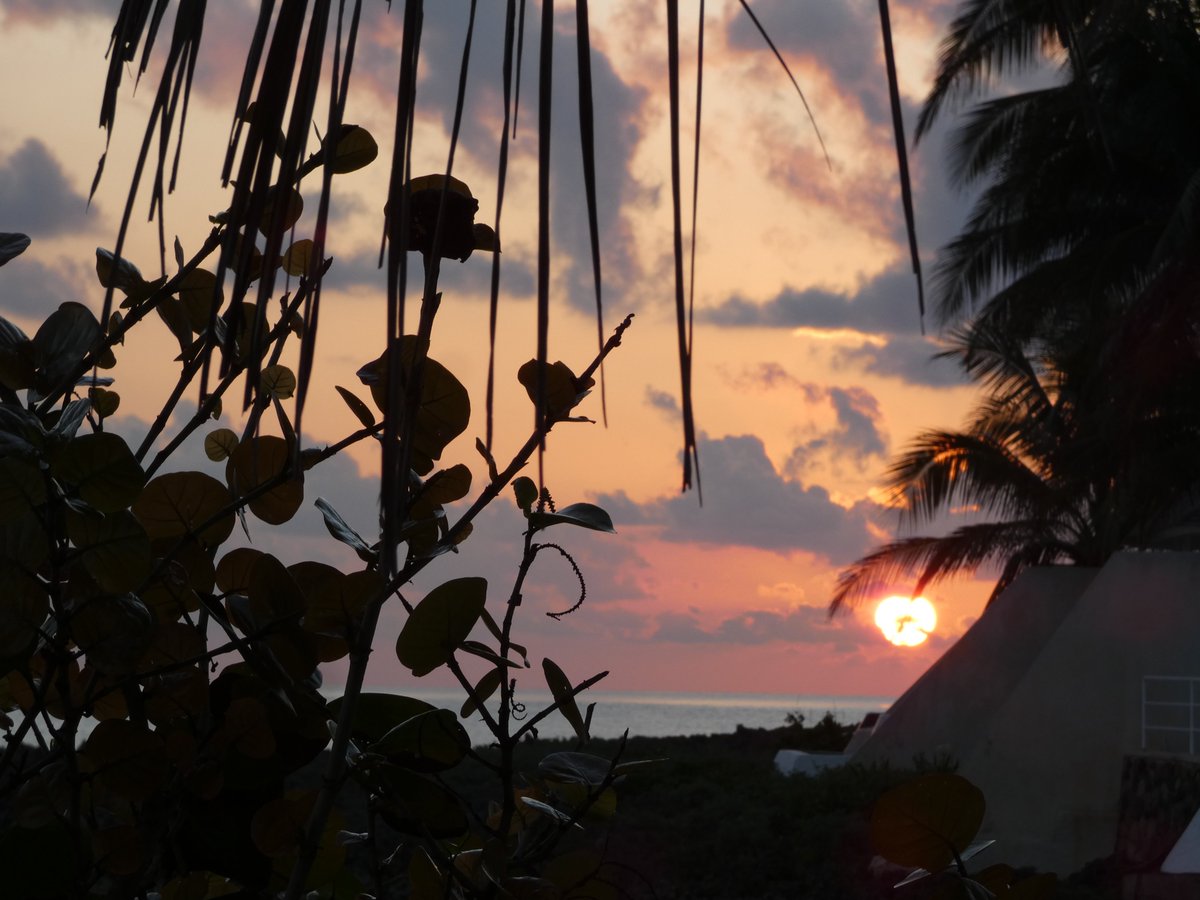 suezeecue's tweet image. Every sunrise different... #TuesdayScenes #Jamaica @SonjahStanley @djmillerJA @jahmekyagyal @simonenclarke @DahliaHarris @CaroleBeckford