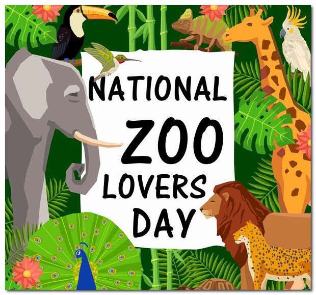 NorCal Humans tweet media