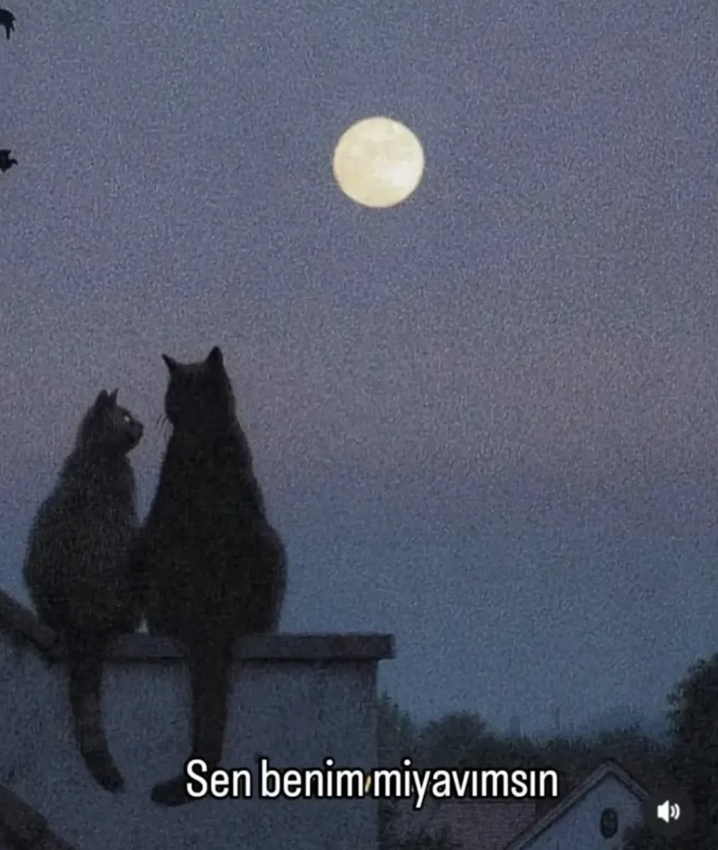 melodramels's tweet photo. @oceansbtwunme  ❤️ https://t.co/xjDN7IDdsk